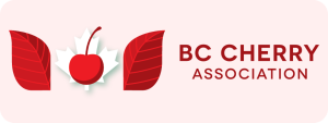 BC-Cherry.png